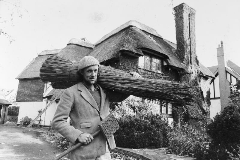 Mr. Tegetmeier carries some Norfolk reed to repair the Scarborough house roof in November 1979.