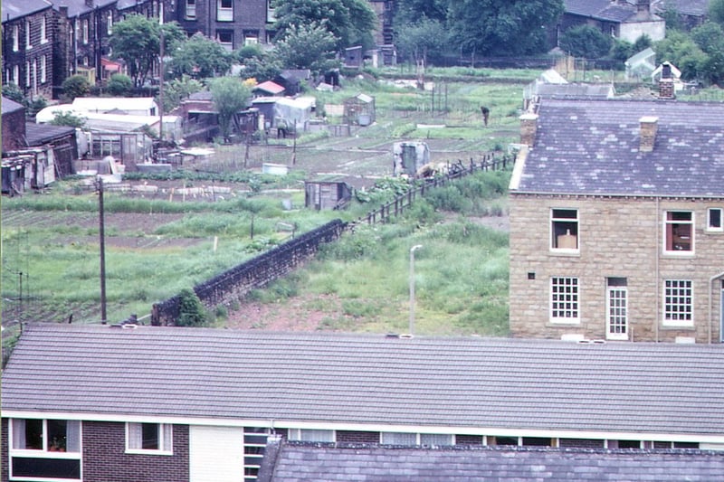 A telephoto view from the tower of Morley Town Hall looking over Marshall Street, Zoar Street allotments, Crank Mill and Daisy Hill. A lot of new housing developed on Daisy Hill during the late 1960s and early 1970s while the old stone terrace had disappeared. Pictured in June 1973.