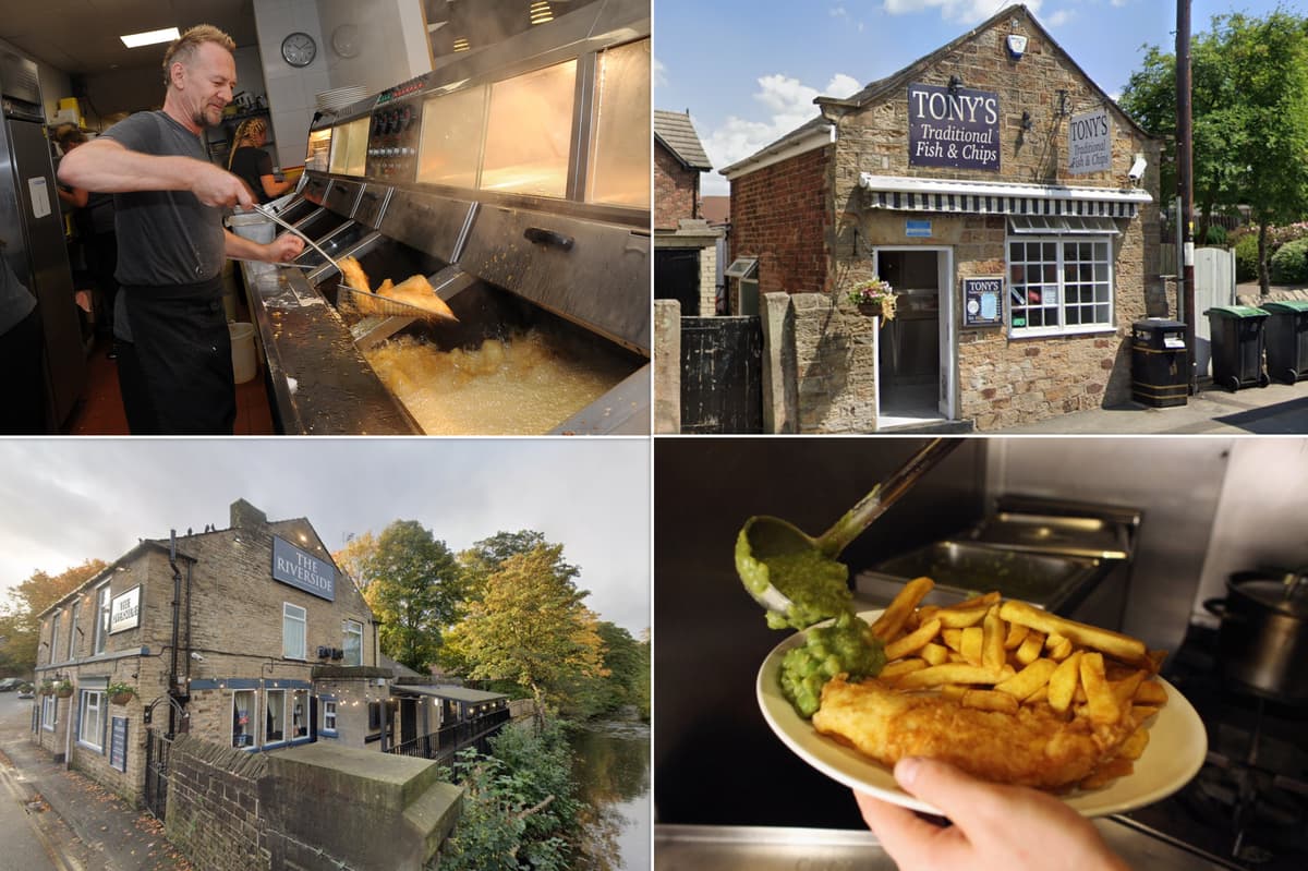 Best Chippy Sheffield locals share best chippies for good value fish supper