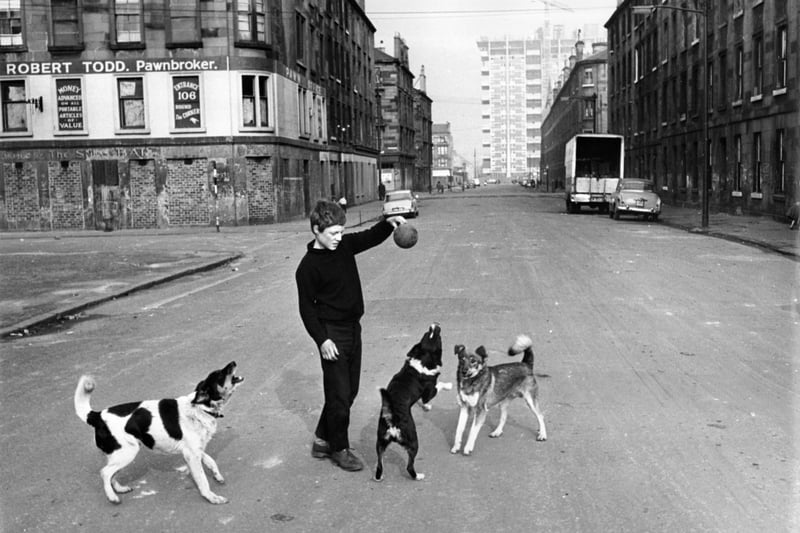 A boy playing with dogs in a road of tenement housing in the Gorbals area of Glasgow. 