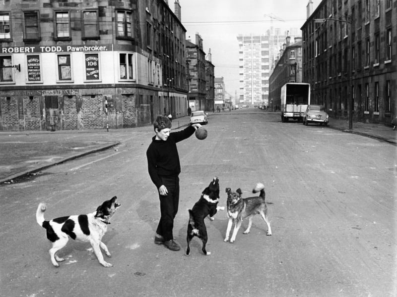 A boy playing with dogs in a road of tenement housing in the Gorbals area of Glasgow.