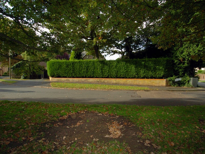 Residents were in uproar in October 2007 after Leeds City Council removed a bench on Ireland Crescent.