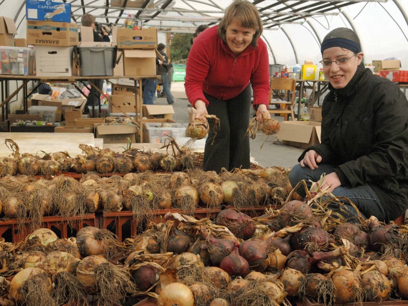 Deborah, left and Catherine sorting out the onions in the greenhouses at the Christian charity 'Caring for Life' at Crag House Farm in October 2007.