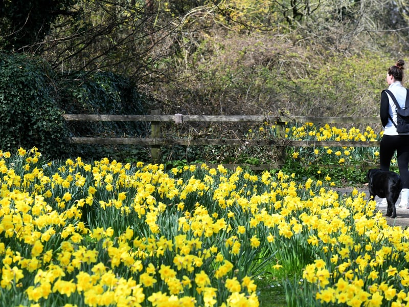 Boasting 1,500 acres of land to explore - made up of open grassland, woodlands, a walled garden, and lakeside paths - Temple Newsam provides an idyllic spot for a leisurely stroll.