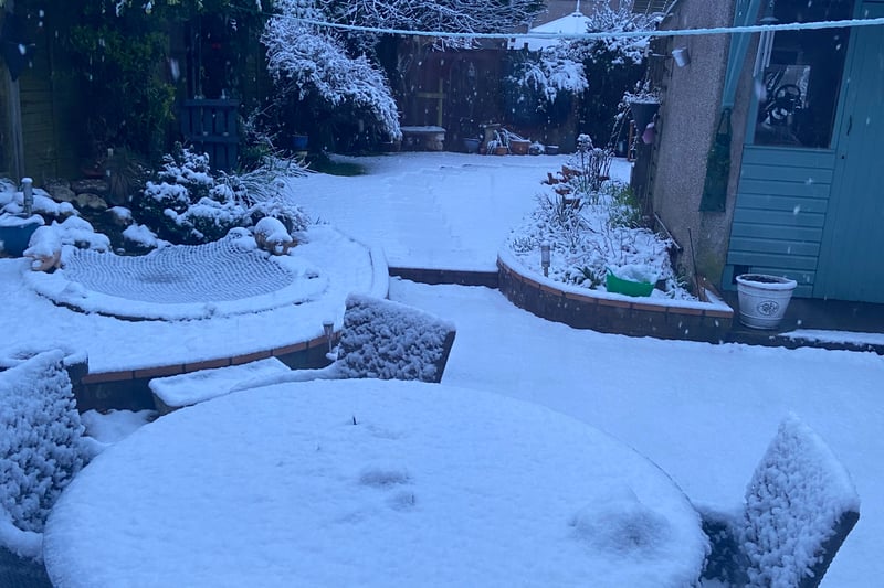This was Donna Sowden's Winterbourne garden this morning
