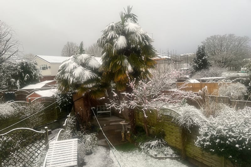 Fiona took this snowy scene in Brislington this morning