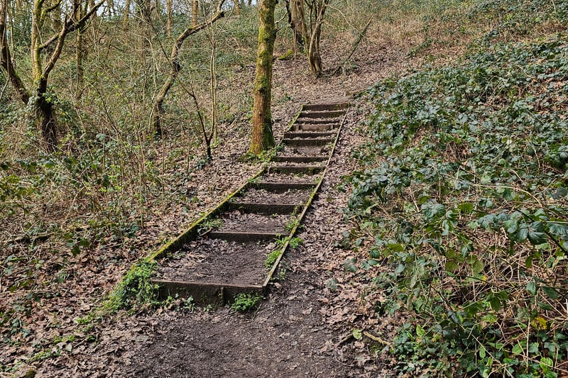 There are multiple sets of steps scattered across the woodlands and blending with the landscapes, creating some very picturesque images.
