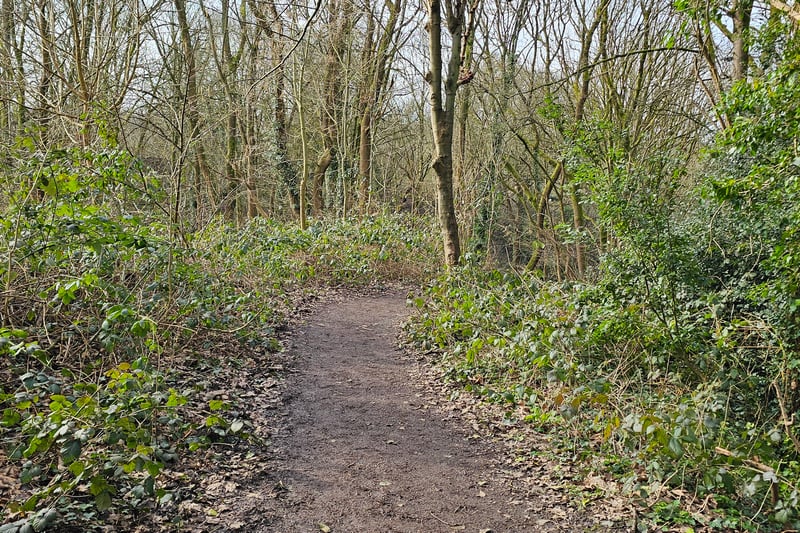 Visitors can enjoy forest paths through the woodland at Conham Vale. Be warned, however, the paths are made of dirt and become slippery and muddy during and after rainy days.