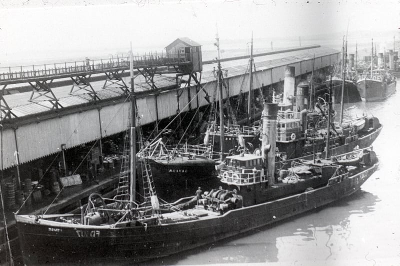 Steam trawlers tied up on the fish dock. Catches were unloaded there. The fish was sold and some was processed under the sheds around the dockside where winter conditions were like the Arctic