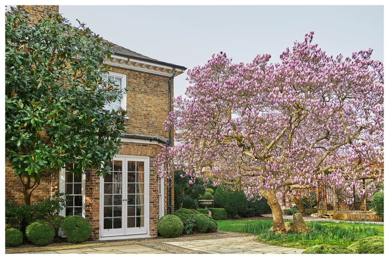 Freddie was involved in the creation of his incredible graden that features large magnolia trees that bloom throughout the spring. It feels strange to think that this house is in the heart of London's busy Kensington neighbourhood as it feels so tranquil 
