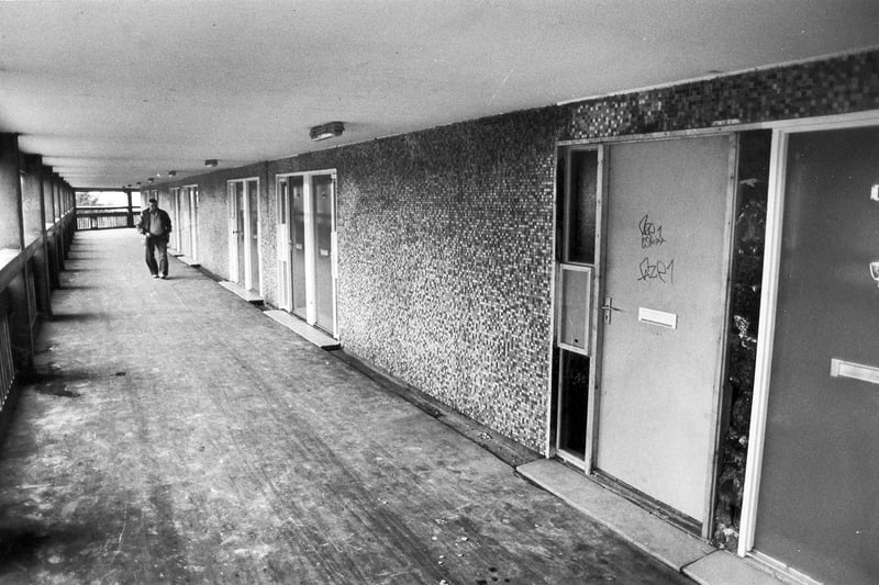 The wide decking at Kelvin Flats.