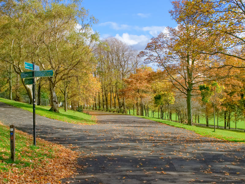 Despite its status as a public park, Glasgow's Bellahouston Park has been counted among Pollstar's top 50 European stadium venues coming in 42nd.