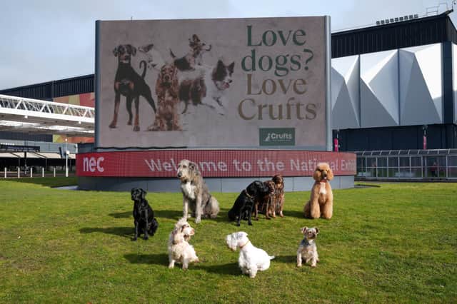 Crufts is the world's biggest dog show.