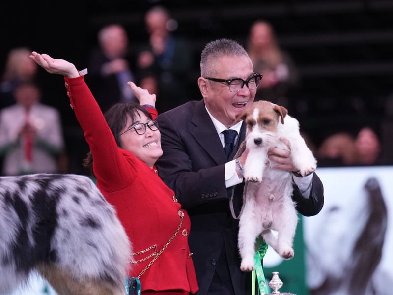 Owners Hiroshi Tsuyuki and Kao Michi, from Japan, with Zen the Jack Russell Terrier who won Reserve Best In Show.