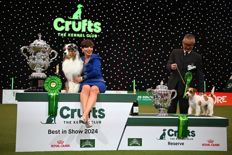 Winner of Best in Show, the Australian Shepherd, "Viking" with handler Melanie Raymond and runner-up, the Jack Russell, "Zen" with handler Hiroshi Tsuyuki pose for photographs at the trophy presentation for the Best in Show.