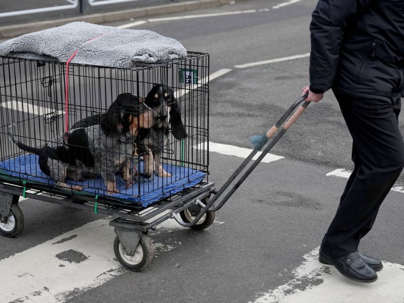 Dogs and their owners arrive on the first day of Crufts.