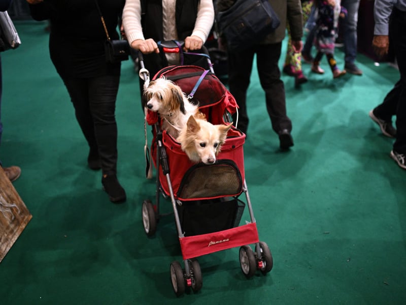 A woman pushes two dogs in a carrier past trade stands at the end of the third day of the Crufts dog show.