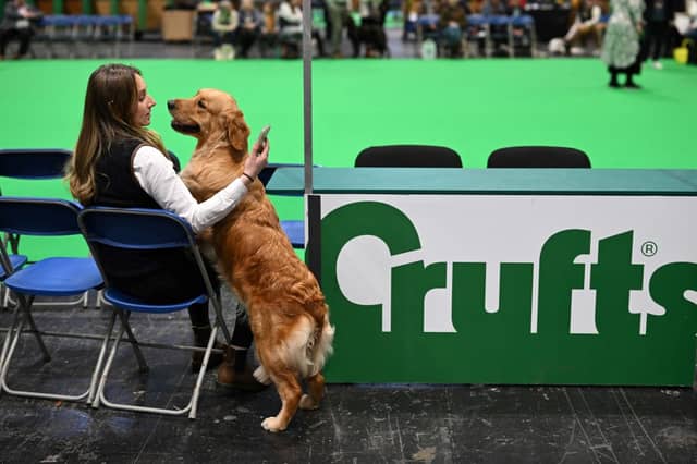 A woman checks her mobile phone as she watches the judging.