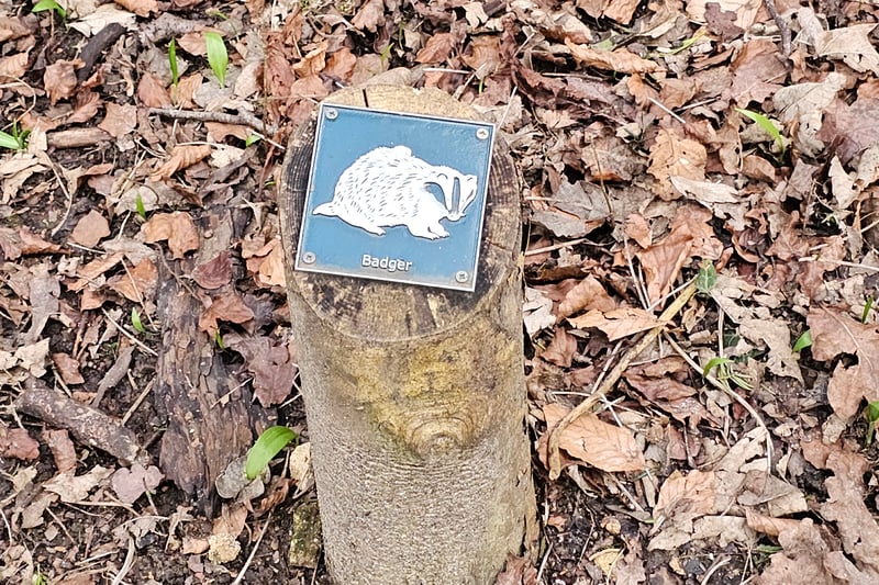 We came across a small trail of plaques illustrating some of the fauna and flora visitors may encounter.