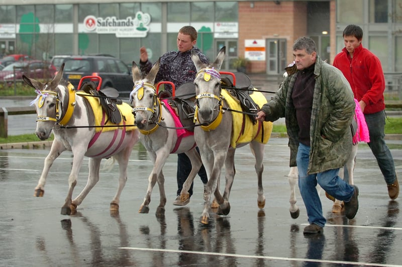 Blackpool donkeys had their annual 'MOT' to ensure they are fit and healthy for another summer on the beach.