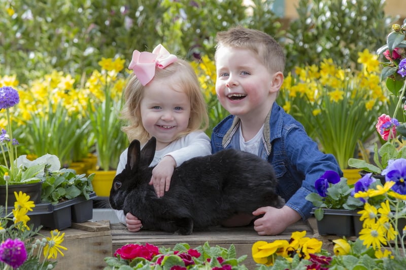 Hop along to the restaurant for a tasty breakfast for the whole family before the little ones take part in some egg-cellent fun with the Easter bunny at Dobbies Edinburgh. They'll need to follow the footprints to find the Easter Bunny who is playing in their wildflower meadow, before enjoying some egg-cellent games. Before planting their very own miniature wildflower meadow to take home During the event children will also be given a chocolate rice crispy cake (316kcals). This event is suited to families with children aged 3-10 years old. Children under 3 can still take part in some activities with the support of an adult.  The children's menu is £10.99 and the adult's menu is £8.60. The breakfasts take place from March 29-31 at 8.30am. Go to: https://events.dobbies.com/event-detail/?e=4275&r=v&v=23.