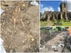 St Mary's Church Ecclesfield: Skeletons discovered during work at Sheffield church to be reinterred