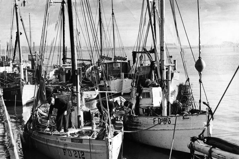 A busy Fleetwood Docks scene in 1965. This is Jubilee Quay