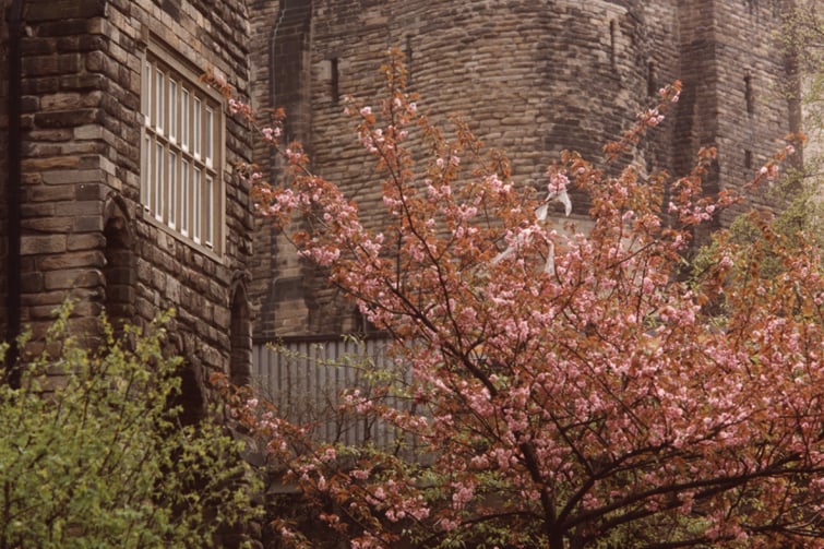 A 1983 photograph of the Black Gate and the Castle Keep Newcastle upon Tyne. The view is looking past the front of the Black Gate towards the Castle Keep. The two buildings are partly hidden by trees in the foreground. 
