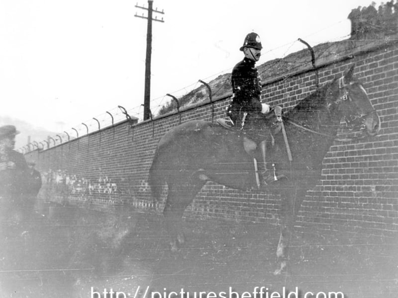 Mounted Policeman Creaser from Attercliffe Police Station. Photo: Picture Sheffield