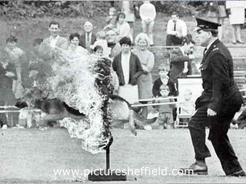 Police dog 'Cito' goes through the burning hoop at a display given by the Dog Section of the Sheffield and Rotherham Constabulary
 in Sheffield in 1969. Photo: Picture Sheffield
