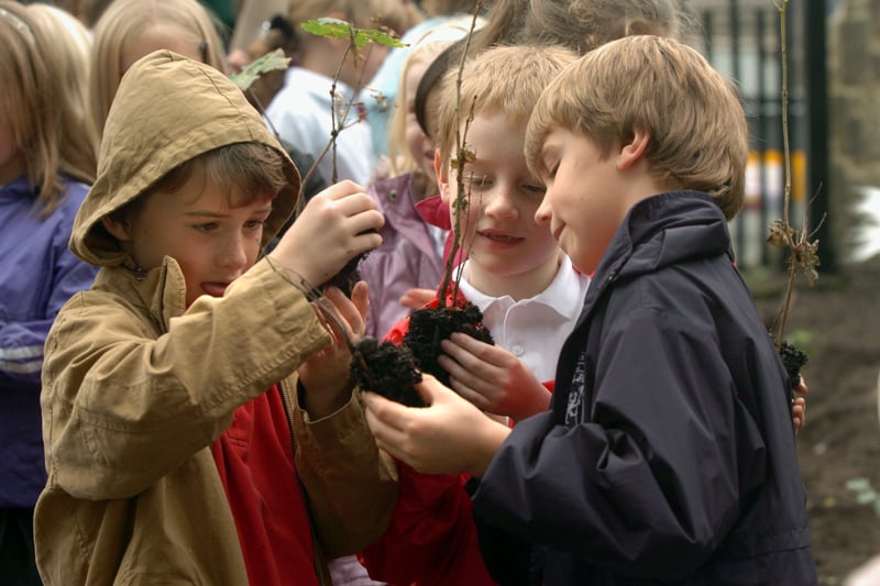 Pupils from Calverley C of E Primary planting trees near to their school in October 2007.