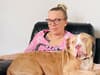 XL Bullys Sheffield: "I'm paying price of 'dangerous' dogs ban, three months after laws introduced"