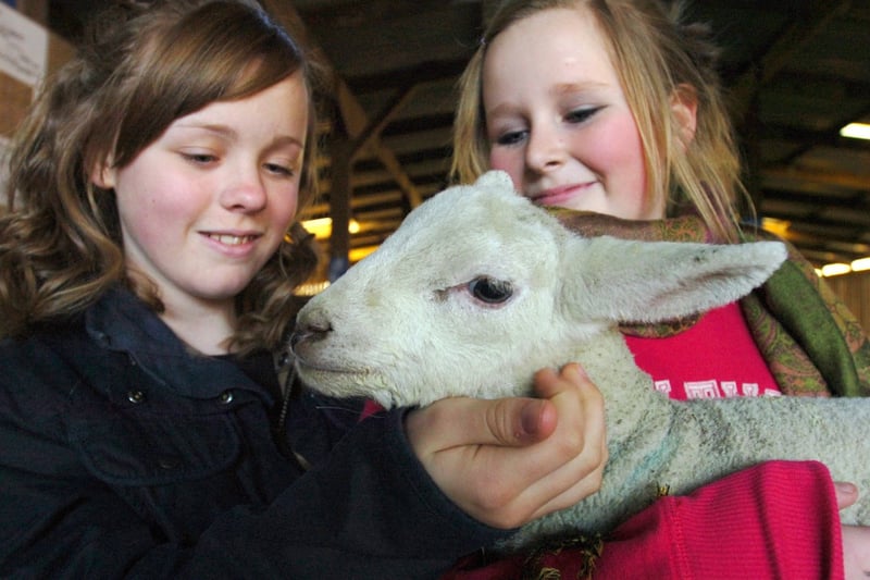 Pupils from St Anthony's School got to spend the day with the lambs at Houghall College in 2010.