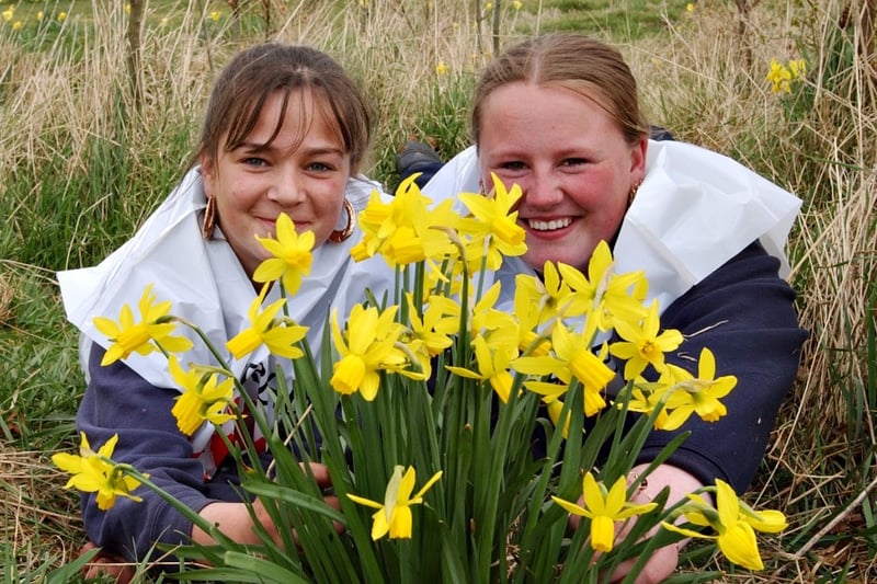 Natalie Bulmer and Adele Bainbridge enjoy the daffodils on a Spring day in 2003.