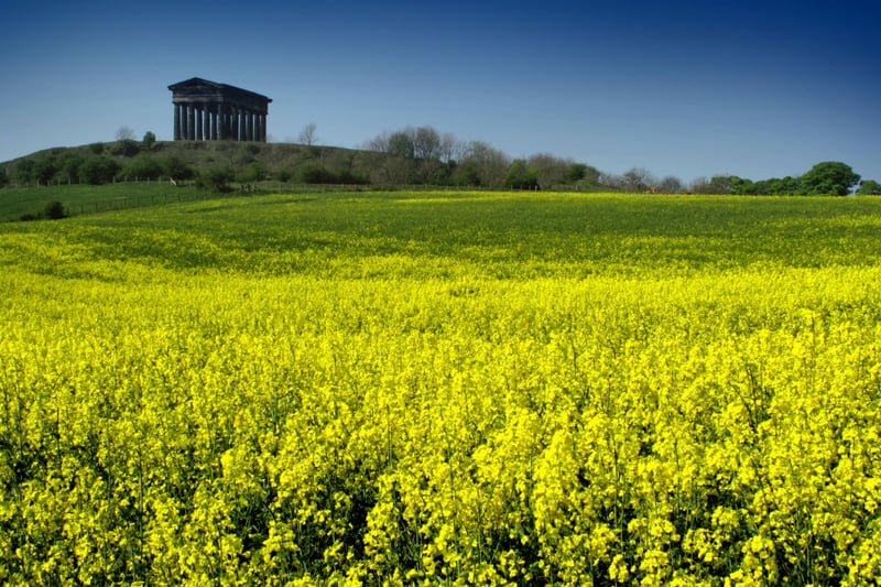 Golden fields near Penshaw Monument captured in this great photo from 2012.