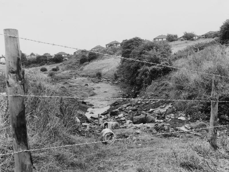 Local beauty spot Primrose Valley Pond pictured in 1983.