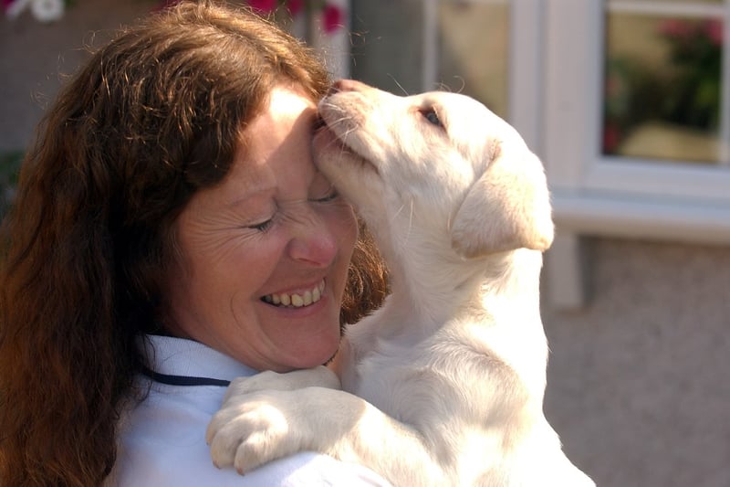 Cute puppy Buttons got himself into a spot of trouble when he got his head stuck in a metal gate in 2006.
Here he is after he was rescued, with owner Ann Milburn from Easington.