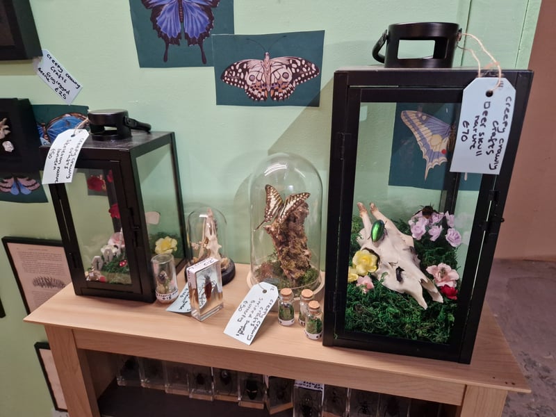 A deer skull display case is among the unusual ornaments created by Creepy Crawly Crafts, on sale at Red Brick Market Sheffield, on Clough Road, off Bramall Lane