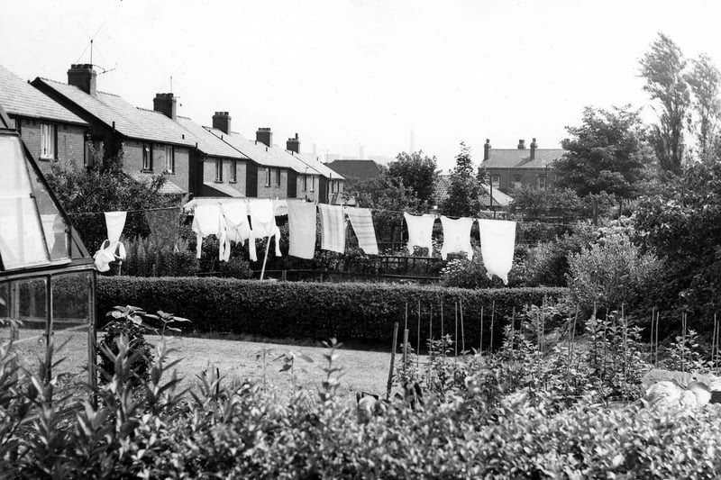 This view from July 1967 looks across the back gardens of properties which fronted onto Woodhouse Hill Road. A neat lawn and well trimmed hedge can be seen in the foreground with plants growing up canes seen on the right. Behind this, a line of washing is visible.