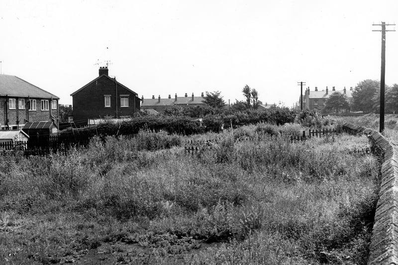  View looks across gardens and open land to the rear of properties on Woodhouse Hill Road. The railway line is just out of view beyond the right edge. Pictured in July 1967.