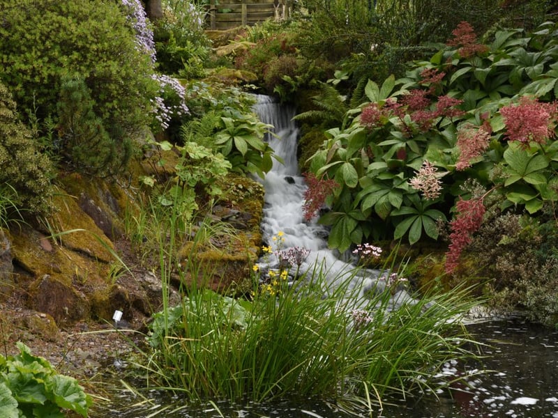 The most popular outdoor attraction in Scotland was Edinburgh's Royal Botanic Gardens which saw a four per cent increase on 2023, with 1,041,391 visitors.