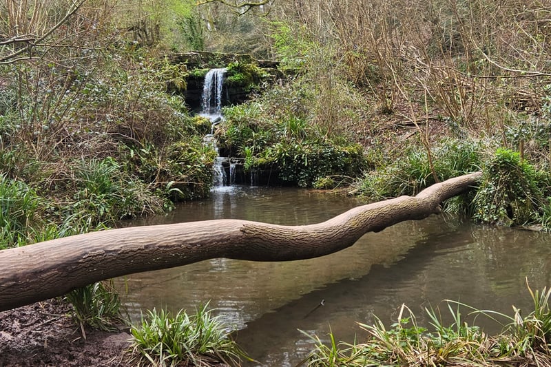 The pools at the heart of the nature reserve, which date back to the Middle Ages, and the connecting cascades are a must see. There are benches around the area to relax and be enveloped by the soothing sounds of the falling water. If you are lucky, you may also meet the resident ducks!