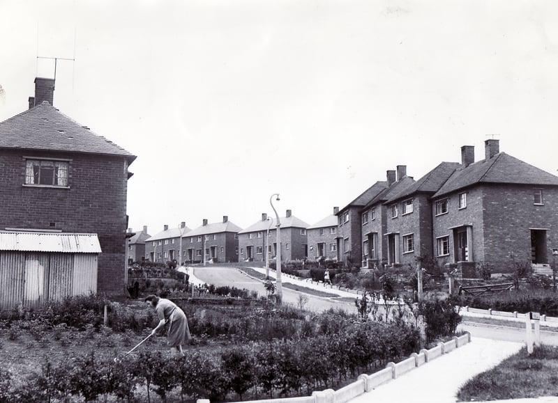 Life on Sheffield's Birley estate in 1955