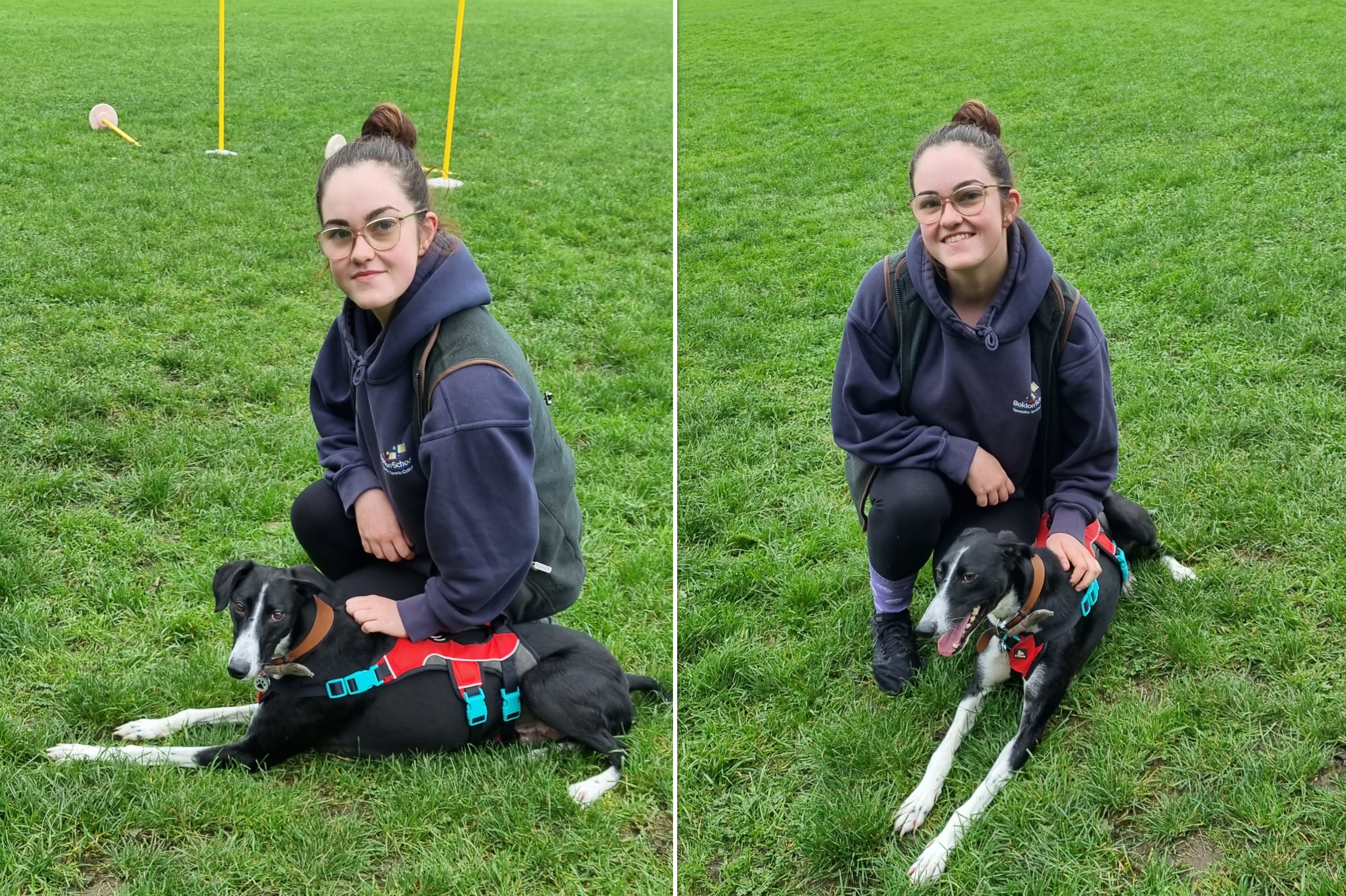 Emaciated dog in Barnsley now loves life in new home