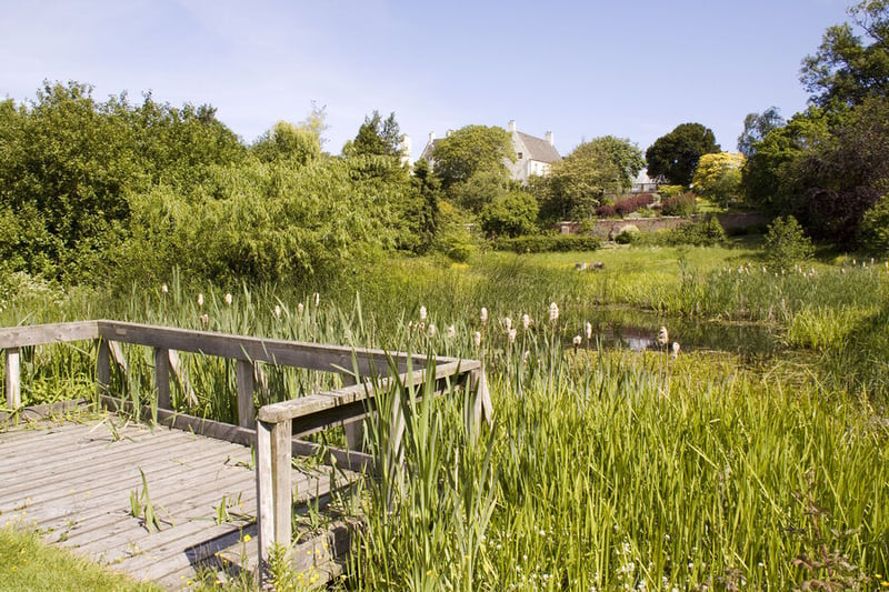 This pretty hillside garden on the outskirts of Edinburgh has attractive flower-filled borders, wild meadows , woodland, and a pond where you can try some pond dipping to see what lies beneath. It welcomed 2,208 visitors in 2023 - a slight drop of three per cent.

