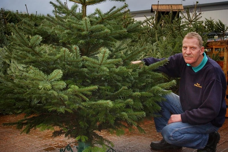 David Rose showed off one of the top-of-the-range Christmas trees from the 2009 season in this photo from Clays Garden Centre.