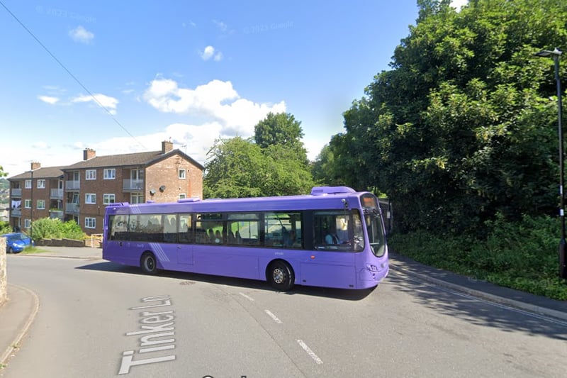 The 95/95a Walkley - Meadowhall bus service received 2.1 per cent of votes.