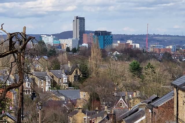The Sheffield skyline. Picture: David Kessen, National World
