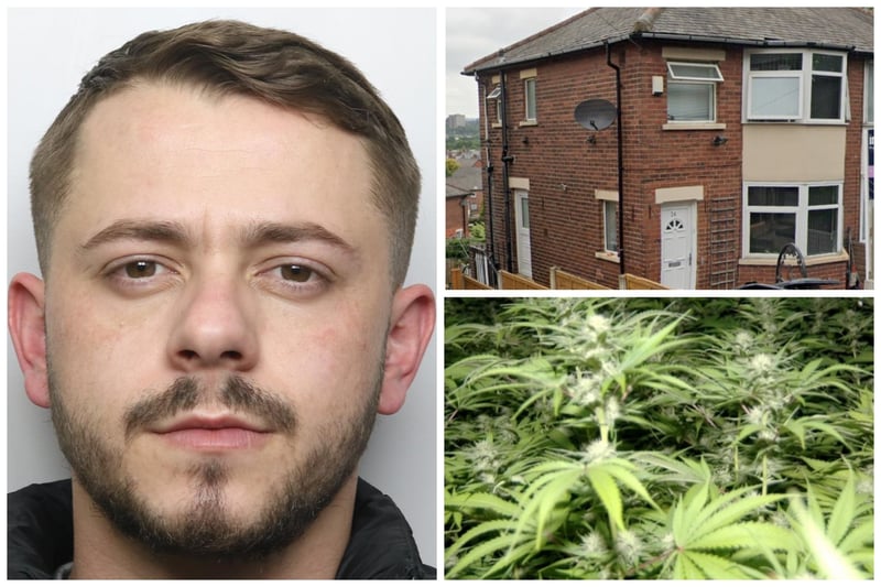 Ardi Pula, 24, was jailed for 23 months after admitting charges of dealing in cannabis, possession of criminal property and possession of fake ID documents. The dealer had more than 8kg of cannabis worth more than £85,000 when he was caught.