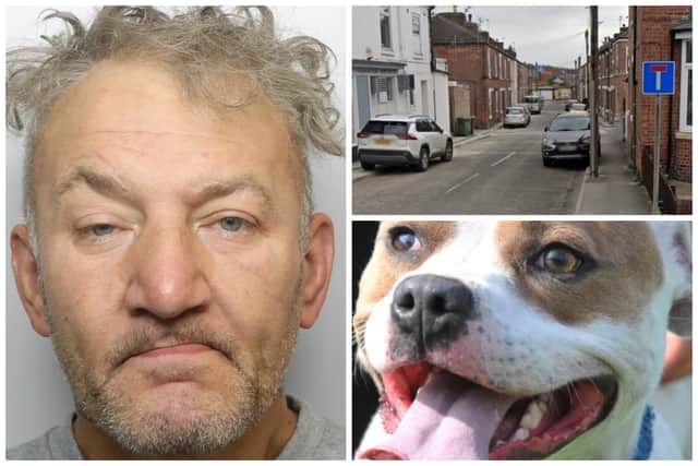 Del Midgley, 54, of Robin Hood Street, Castleford, was jailed for 45 months after admitting section 20 GBH, two counts of being a person with a dangerous dog that caused serious injury and two of racially-aggravated harassment. It came after he lured a man to his home to attack him with a baseball bat, then allowed his vicious dog to maul him - leaving him needing more than 160 stitches.